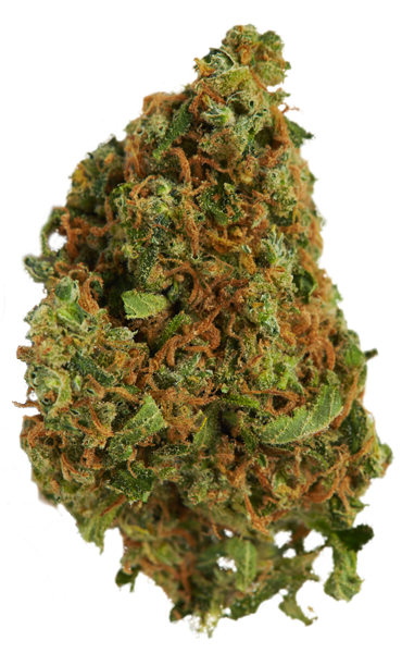 marijuana lg