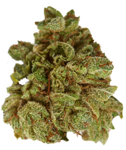 marijuana sm