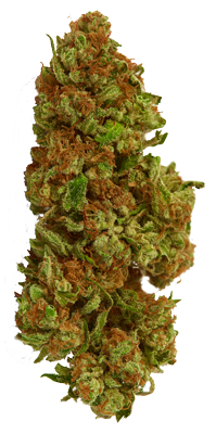 marijuana sm2